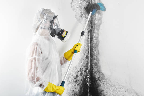 Best Sewage cleanup and water damage restoration  in USA